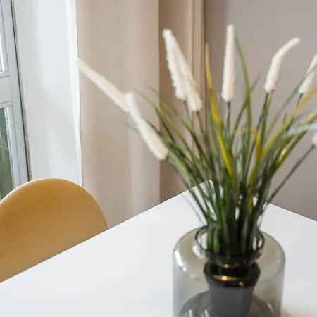 Guestready - A Warm Refuge In Cedofeita Porto